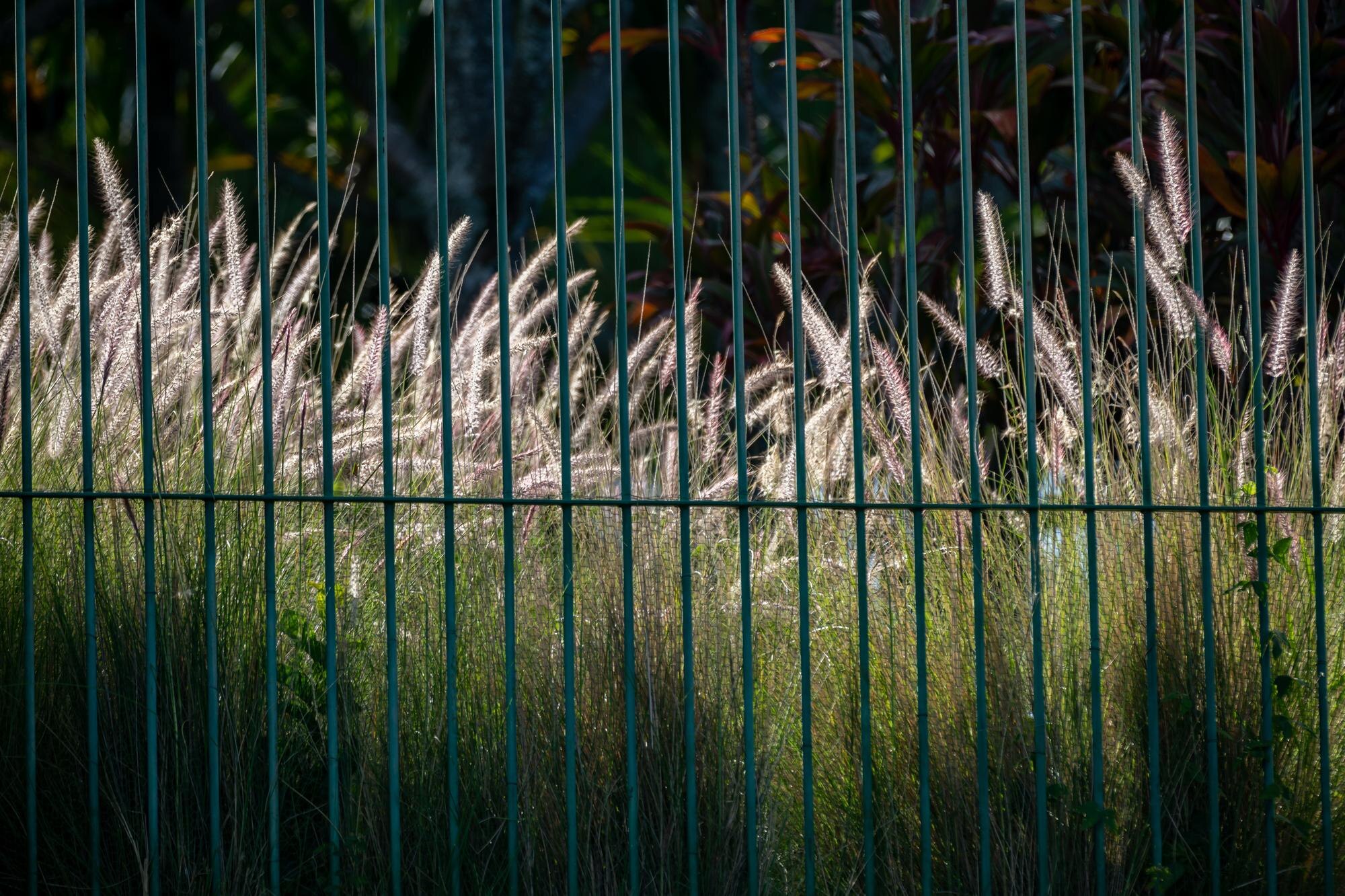 Rita Bleiker – Grenzzaun versetzen NRW